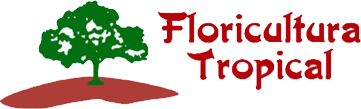Floricultura Tropical